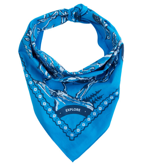 Accesorii Femei Parks Project HK X Parks Project Bird's-Eye Rocky Mountain Kerchief Blue