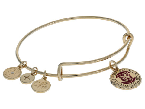 Bijuterii Femei Alex and Ani Harry Potter Gryffindor House Engravable Pendant Bracelet Shiny Gold